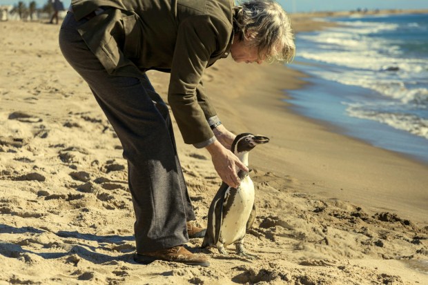 Steve Coogan in Sweet Bird/Buddy Film