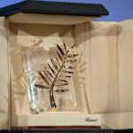 25-palme-d-or.jpg