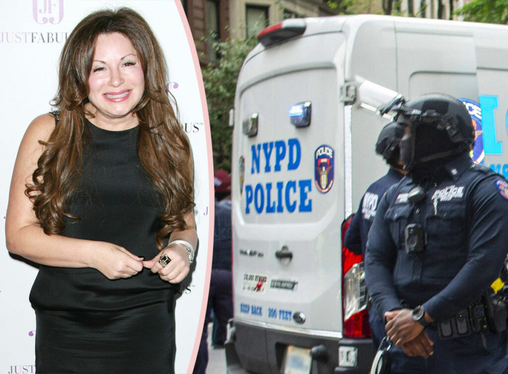 Met Gala Stylist Manhandled by Police: What Really Happened