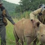 Guardians-episode-4-South-Africa-The-Royal-Foundation_Zandland.jpg