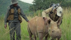 Guardians-episode-4-South-Africa-The-Royal-Foundation_Zandland.jpg