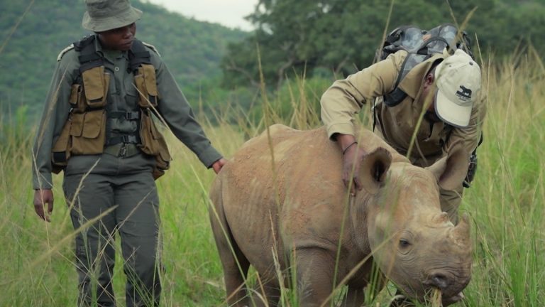 Guardians-episode-4-South-Africa-The-Royal-Foundation_Zandland.jpg