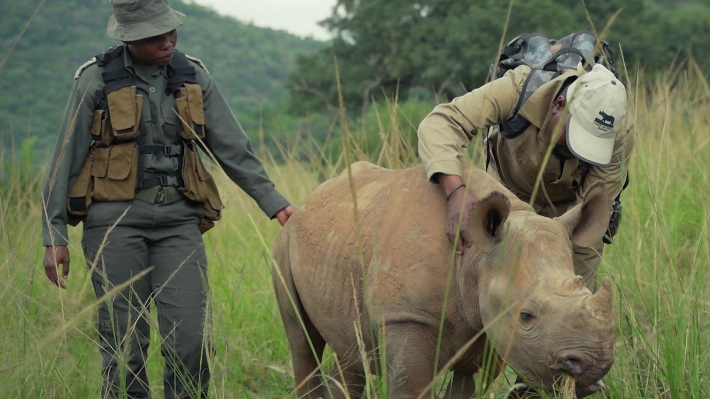 Guardians-episode-4-South-Africa-The-Royal-Foundation_Zandland.jpg