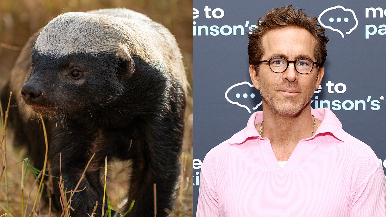 Honey-Badger-and-Ryan-Reynolds-Split-Getty-H-2025.jpg