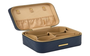 Most Stylish Makeup Organizer Case