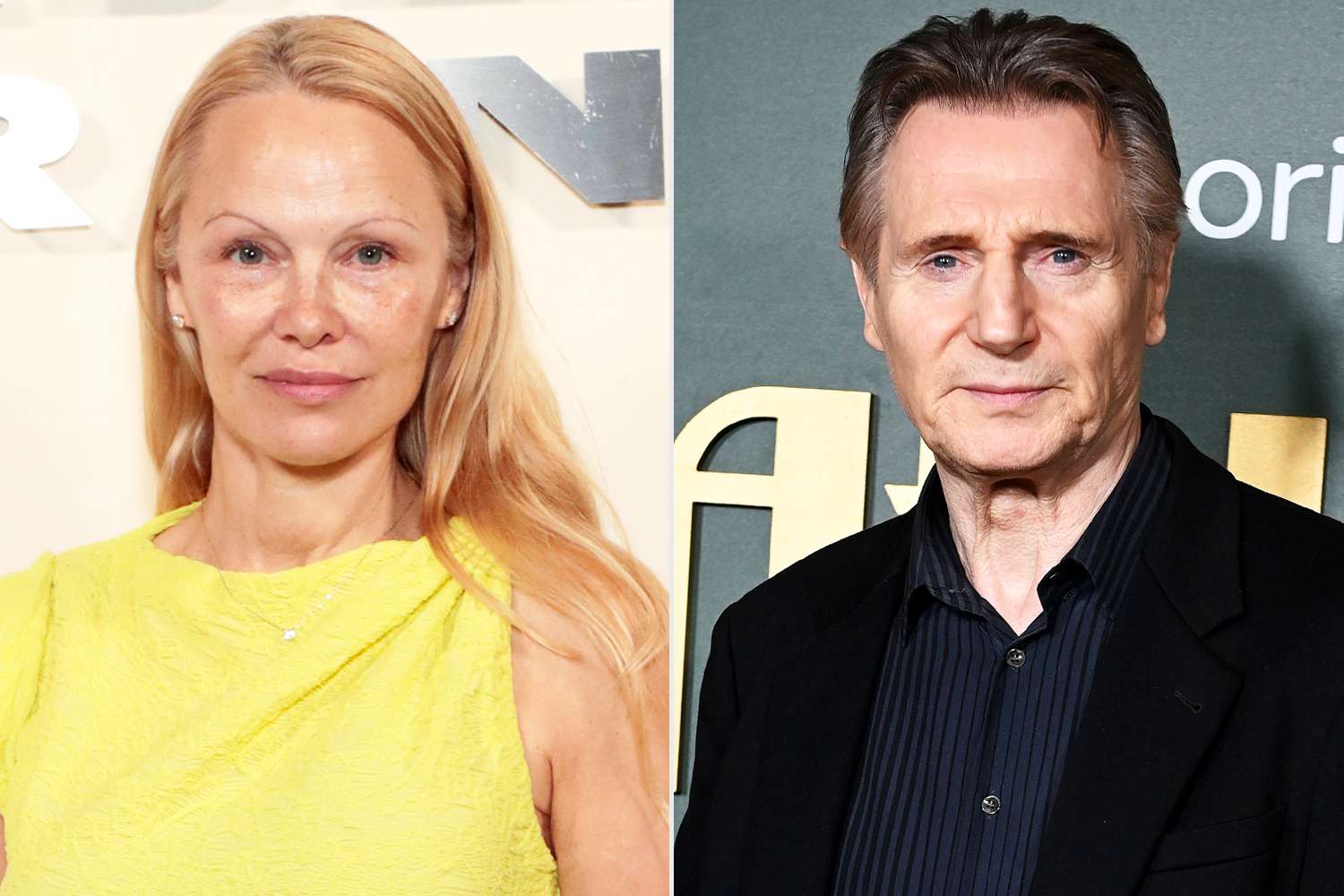 Liam Neeson, Pamela Anderson in Movie