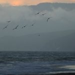 GettyImages-2226993534.jpg