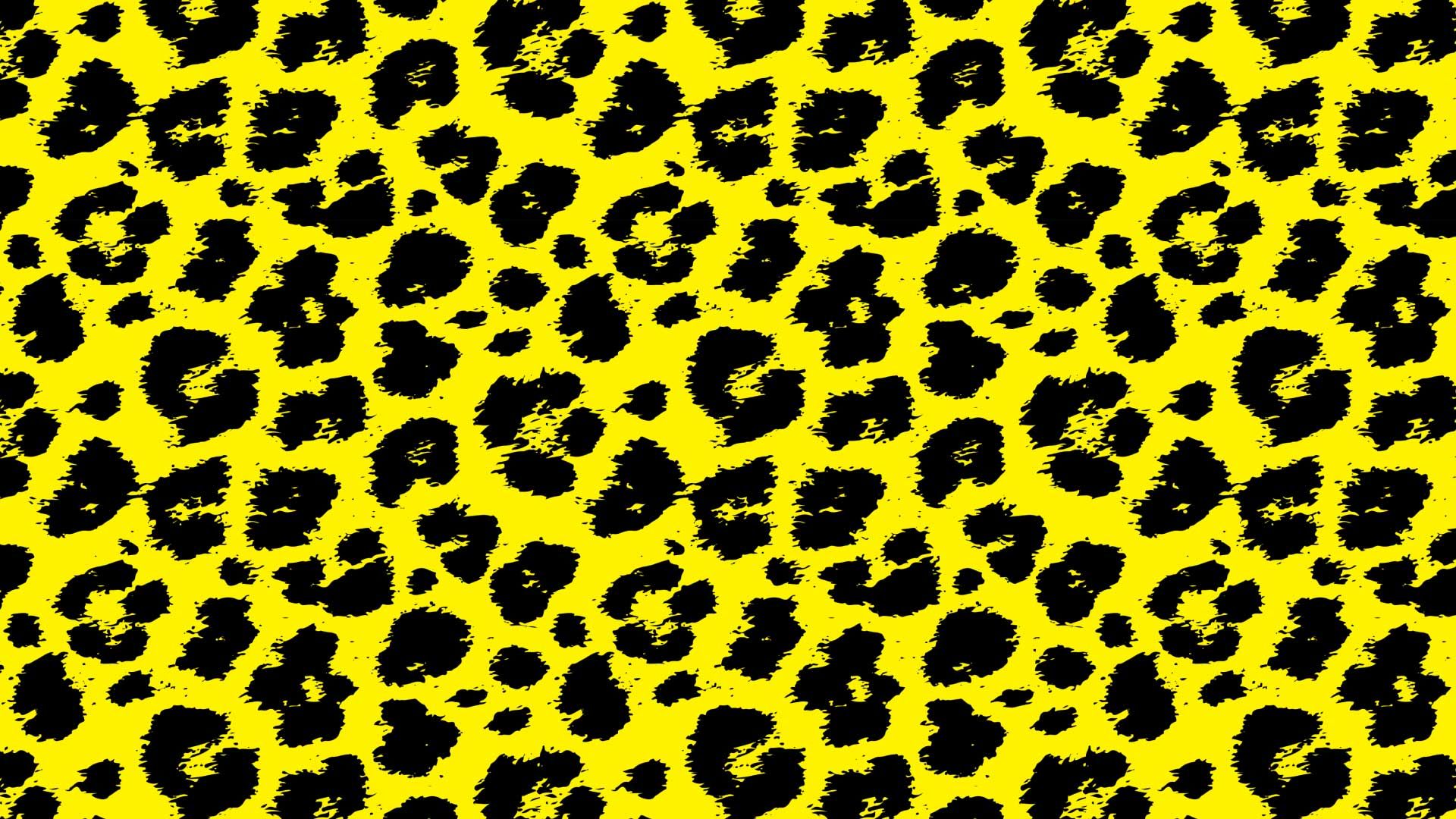 Locarno Sets Pardi di Domani Lineup, Experimentation Breeding Ground
