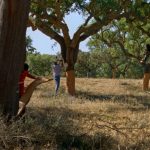 The-Seasons-film-still-1-Marianne-Andrea-Borowiec-1.jpg
