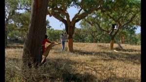 The-Seasons-film-still-1-Marianne-Andrea-Borowiec-1.jpg