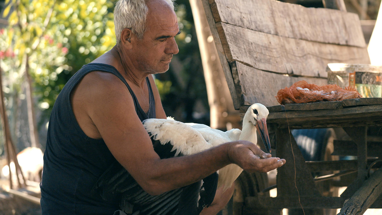 Captivating Doc from 'Honeyland' Helmer