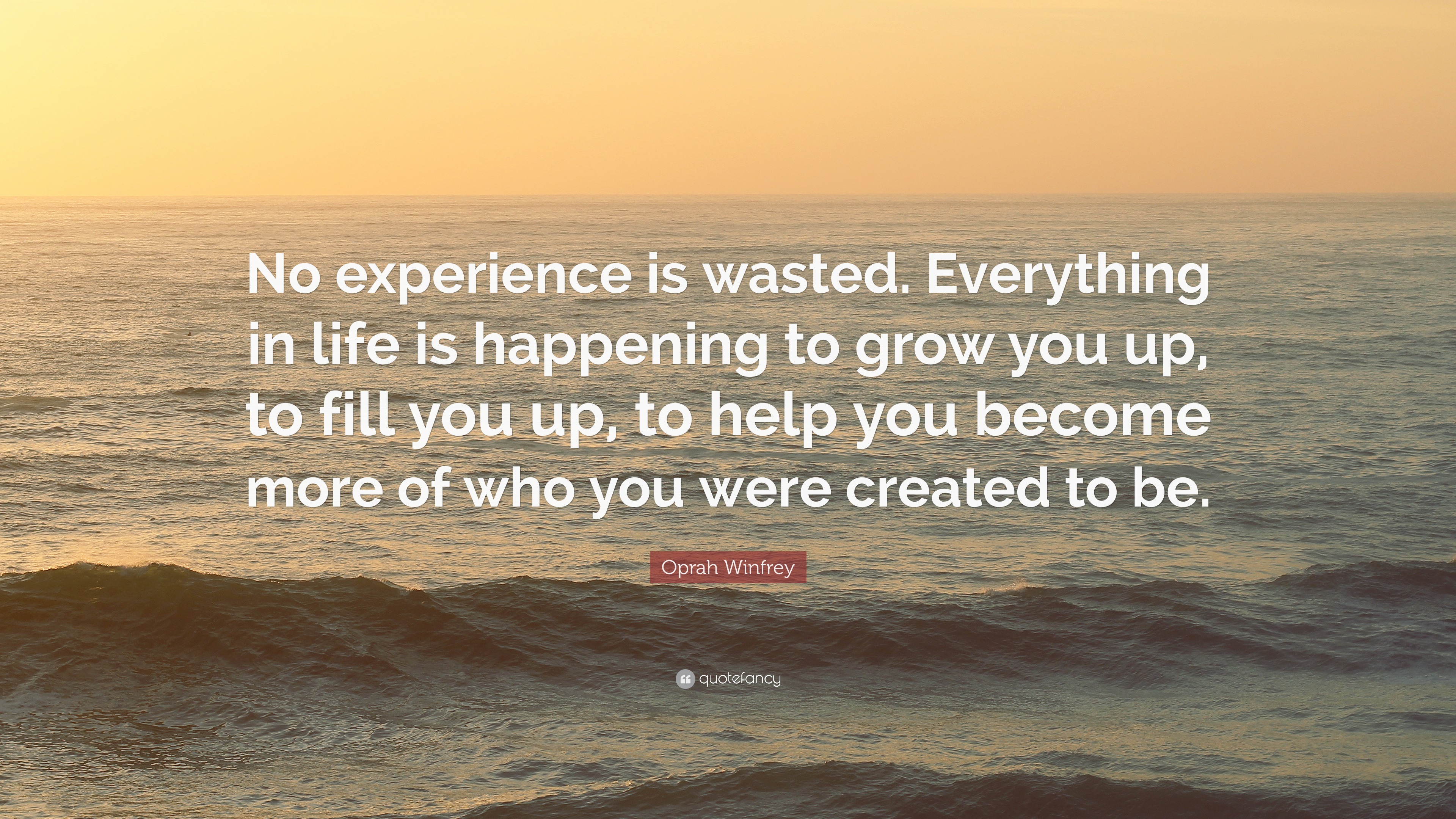 It Has No Life Experience