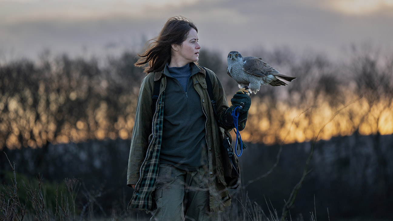 'The Wild Robot,' 'Daily Show' Among Environmental Media Award Winners