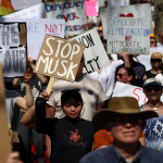 Celebrities Supporting No Kings Protests