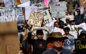 Celebrities Supporting No Kings Protests