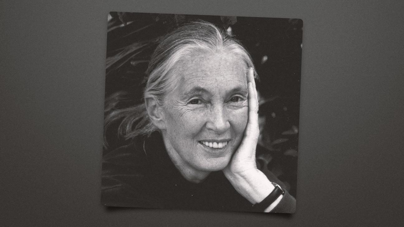 Jane Goodall