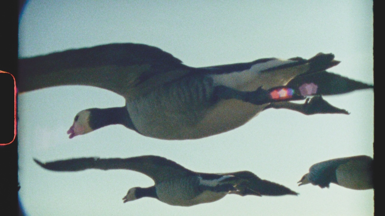 Super-Nature.jpeg